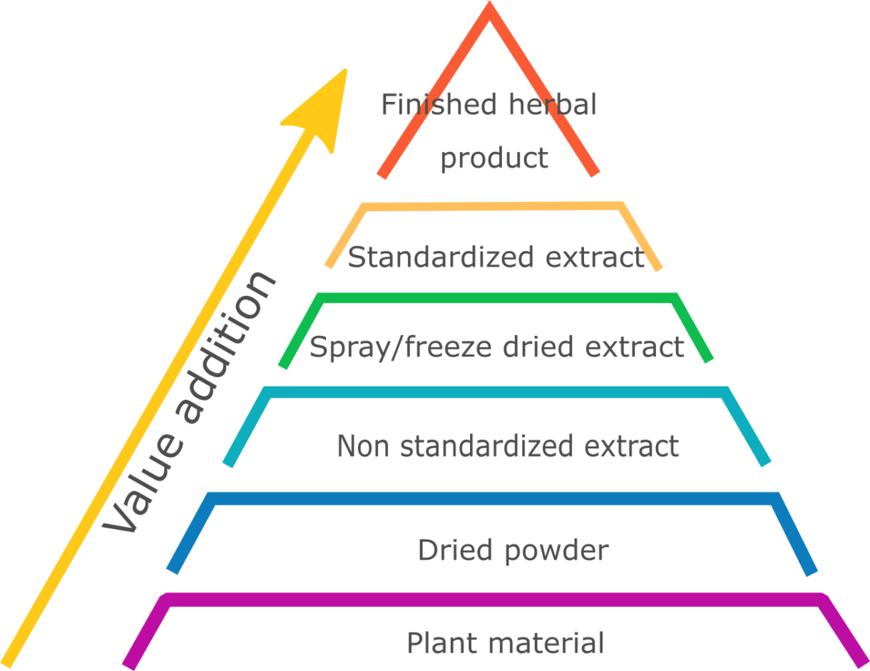 Plant extract vs Plant Powder plant extracts manufacturer