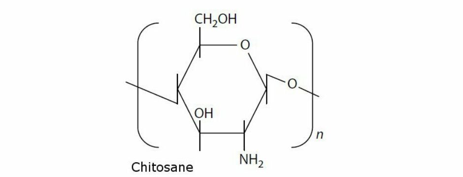 chitosan europe