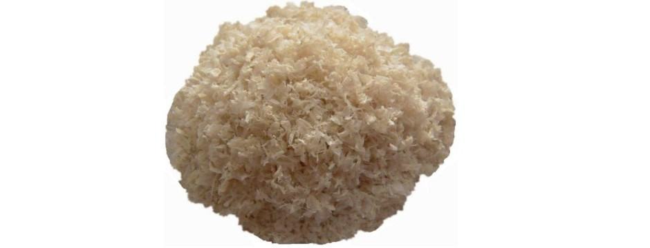 floculant chitosan
